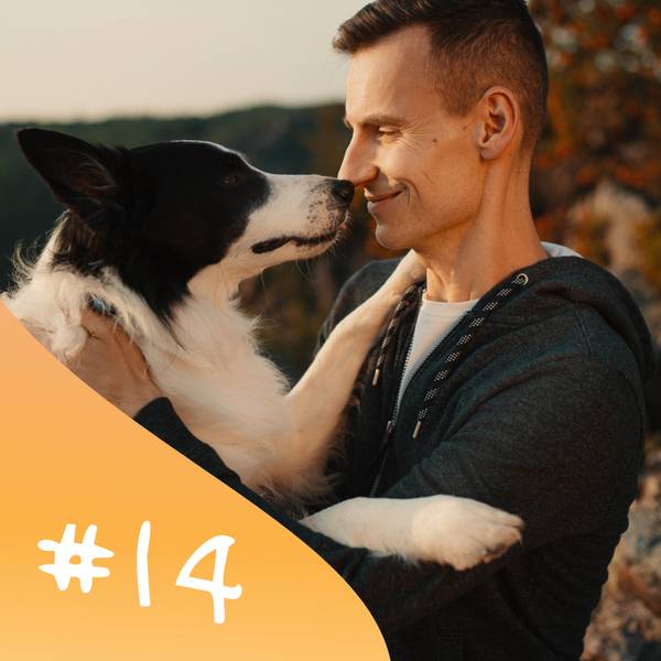 Neštěkej na svého psa